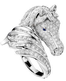 A Collection of Animals