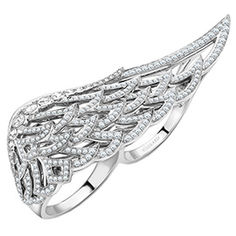 Wings 10th Anniversary