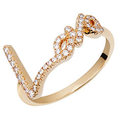 I promise to love you