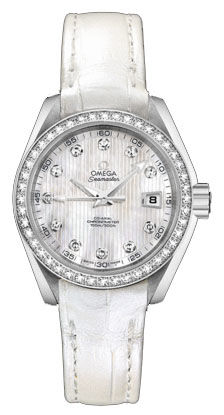 231.18.30.20.55.001 Omega Seamaster Aqua Terra