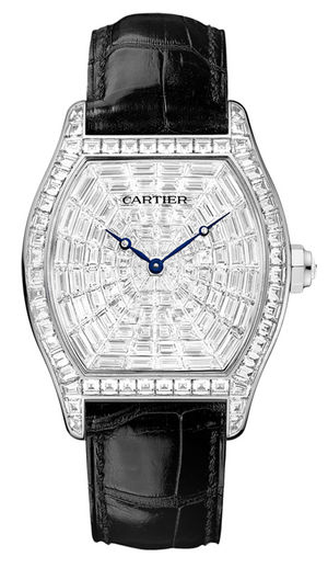 HPI00502 Cartier Tortue