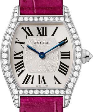 WA501007 Cartier Tortue