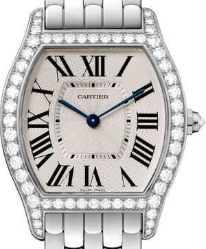 WA501013 Cartier Tortue