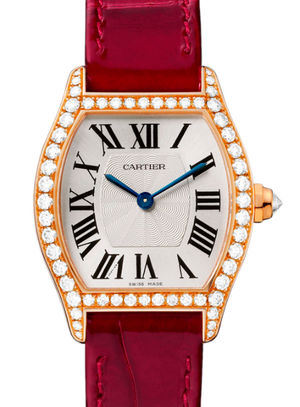 WA501006 Cartier Tortue