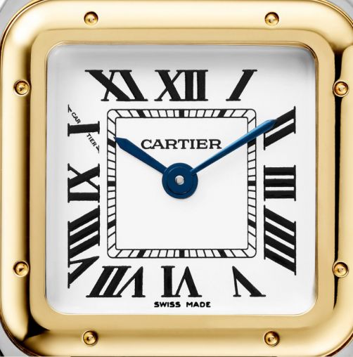 W2PN0006 Cartier Panthere de Cartier