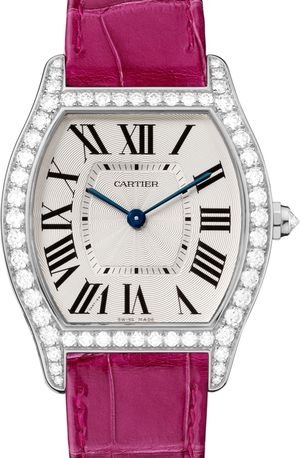 WA501009 Cartier Tortue