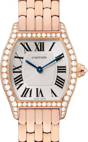 WA501010 Cartier Tortue
