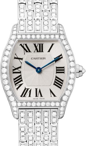 HPI00778 Cartier Tortue