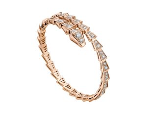 BR858084 Bvlgari Serpenti