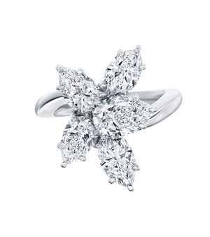 FRDPCL100WC Harry Winston Winston Cluster