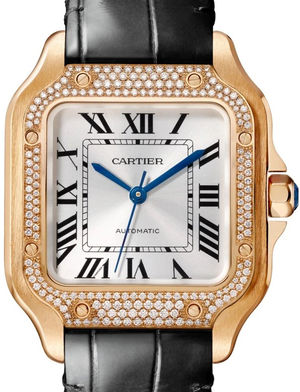 medium cartier santos