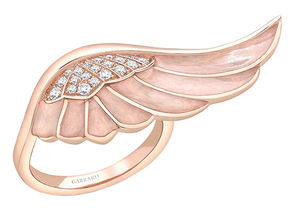 2014709 Garrard Wings Reflection