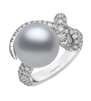 PRE 565 NDW Mikimoto Desmos