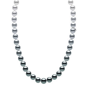 MNS 10516 ZRX 04244 Mikimoto Classic