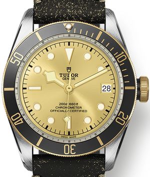 M79733N-0003  Tudor Black Bay