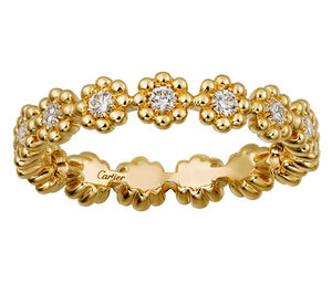 B4220100 Cartier Cactus de Cartier