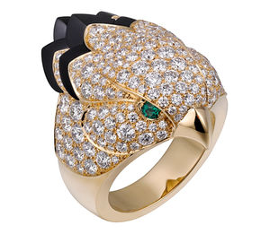 H4317100 Cartier Fauna and Flora