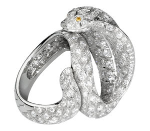 H4183900 Cartier Fauna and Flora