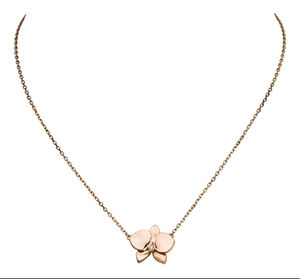 B7015500 Cartier Fauna and Flora