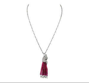 H3000006 Cartier Fauna and Flora