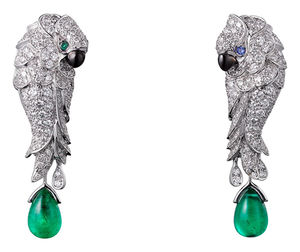 H8000125 Cartier Fauna and Flora