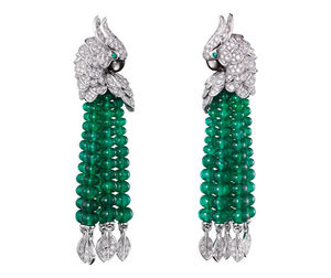 H8000129 Cartier Fauna and Flora