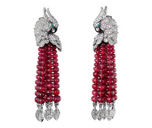 H8000127 Cartier Fauna and Flora