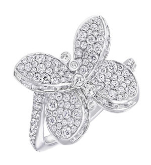 RGR 559 GRAFF Butterfly