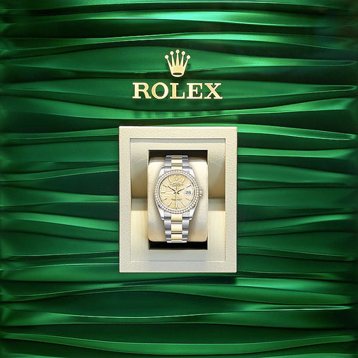 126283RBR-0024 Rolex Datejust 36