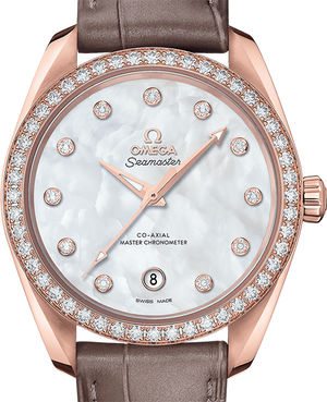 220.58.38.20.55.001 Omega Seamaster Aqua Terra