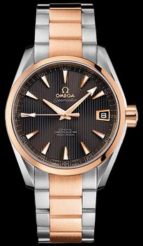 231.20.39.21.06.001 Omega Seamaster Aqua Terra