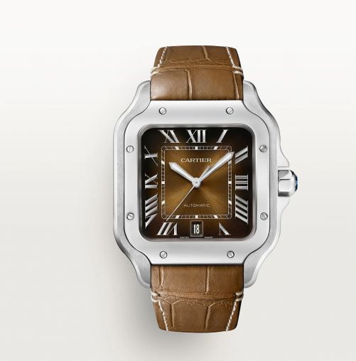 WSSA0064 Cartier Santos De Cartier