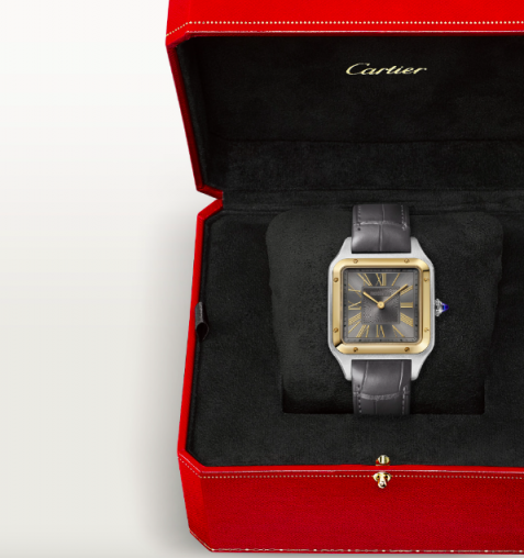 W2SA0028 Cartier Santos De Cartier