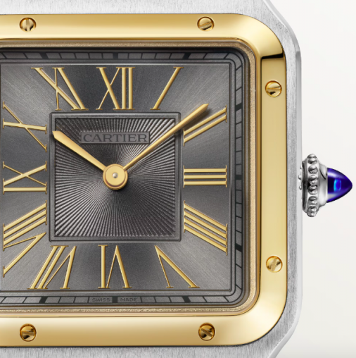 W2SA0028 Cartier Santos De Cartier