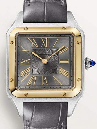 W2SA0028 Cartier Santos De Cartier