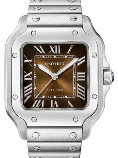 WSSA0065 Cartier Santos De Cartier