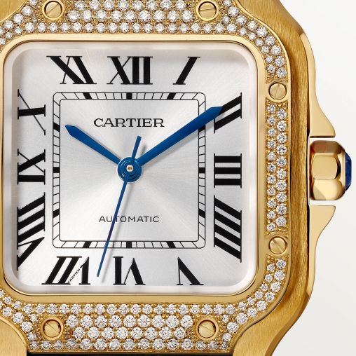 WJSA0013 Cartier Santos De Cartier