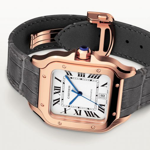 WGSA0019 Cartier Santos De Cartier