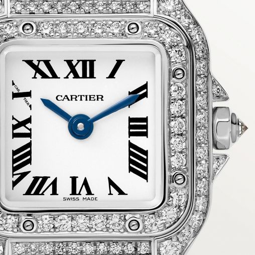 WJPN0046 Cartier Panthere de Cartier