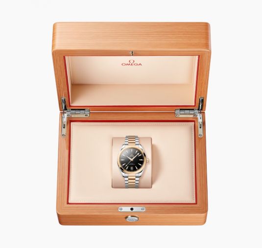 220.20.41.21.01.001 Omega Seamaster Aqua Terra