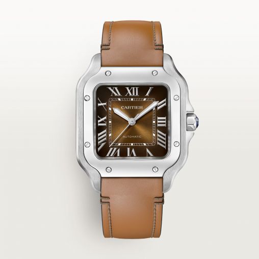 WSSA0081 Cartier Santos De Cartier