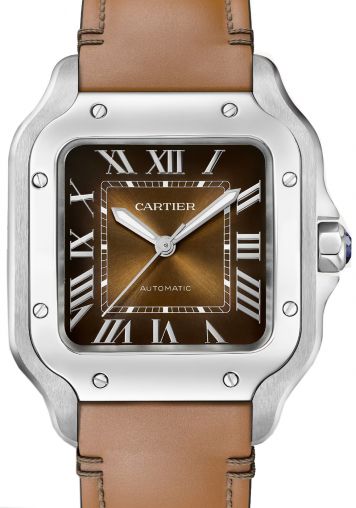 WSSA0081 Cartier Santos De Cartier