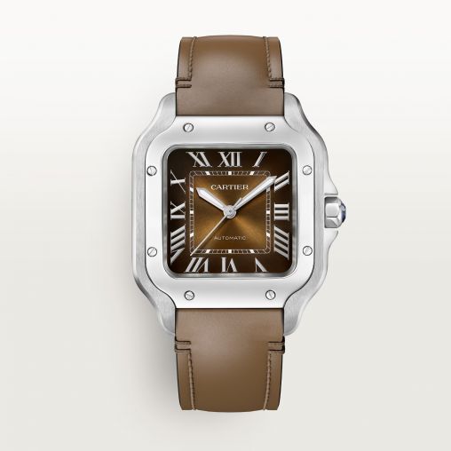 WSSA0081 Cartier Santos De Cartier