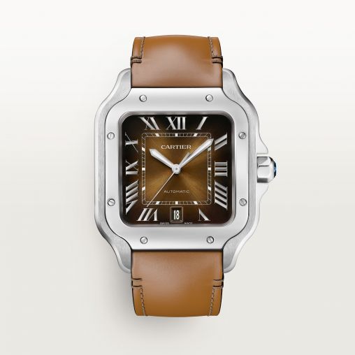 WSSA0079 Cartier Santos De Cartier