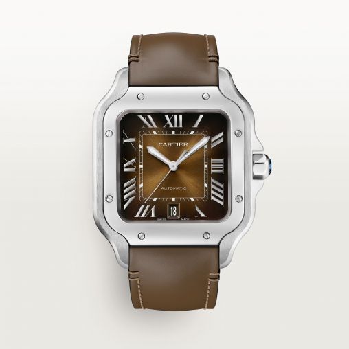 WSSA0079 Cartier Santos De Cartier