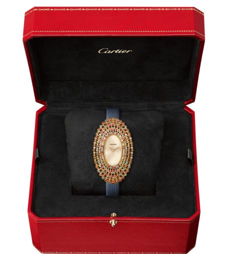 WJLI0007 Cartier Creative Jeweled watches