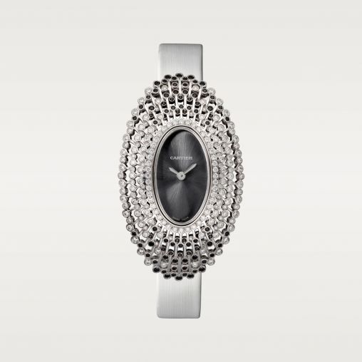 WJLI0006 Cartier Creative Jeweled watches