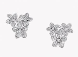 RGE1665 GRAFF Wild Flower