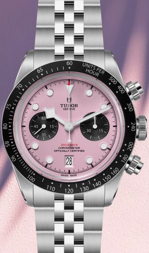 M79360N-0019 Tudor Black Bay