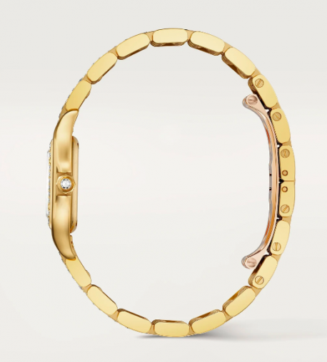 WJPN0059 Cartier Panthere de Cartier